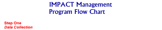 impact flow chart top image